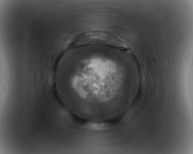 X0000085320712200703302044