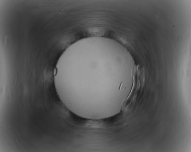 X0000085320713200703302044