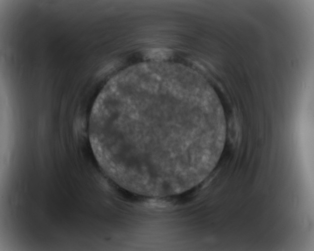 X0000085320714200703302044