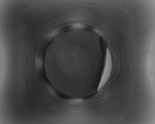 X0000085320715200703302044