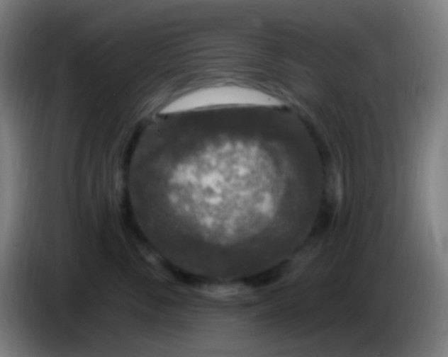 X0000085320716200703302044