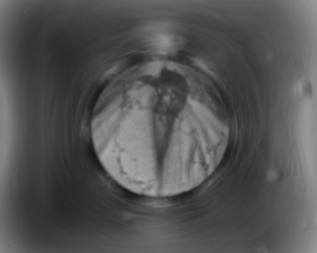 X0000085320719200703302044