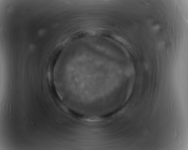 X0000085320720200703302044