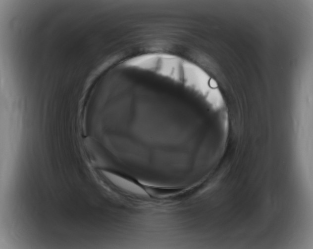 X0000085320721200703302044