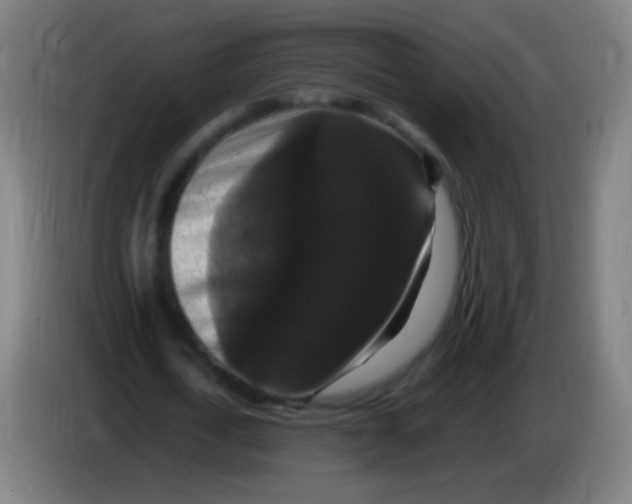 X0000085320722200703302044