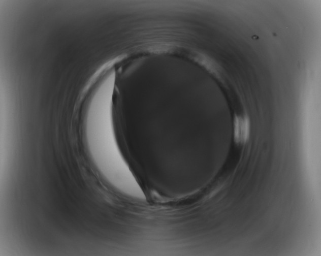 X0000085320723200703302044