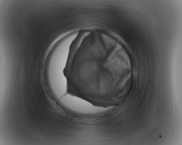 X0000085320724200703302044