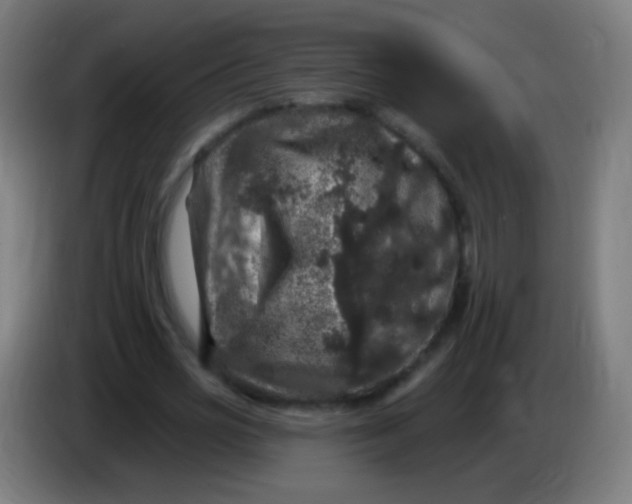 X0000085320725200703302044