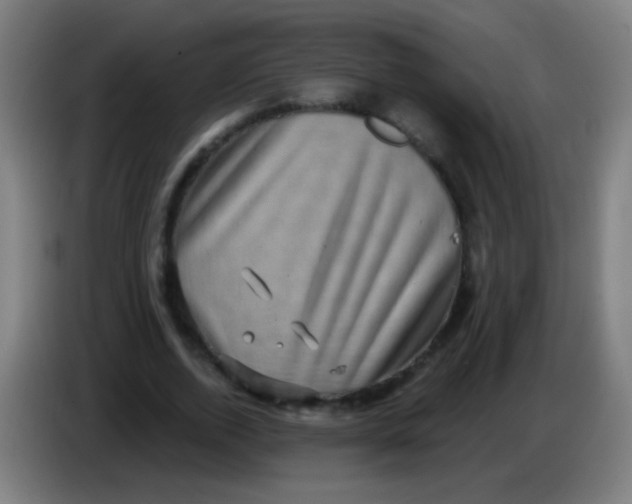 X0000085320728200703302044