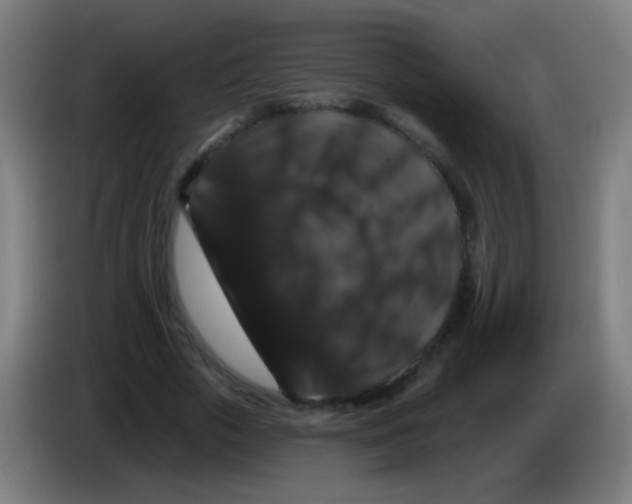 X0000085320729200703302044