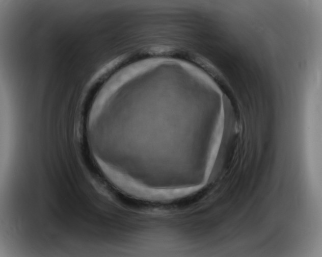 X0000085320732200703302044