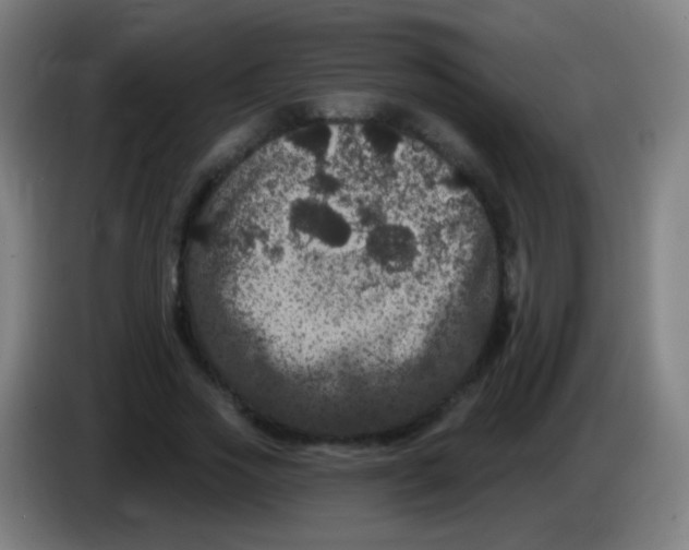 X0000085320733200703302044