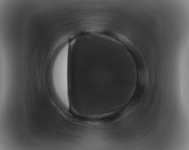 X0000085320735200703302044