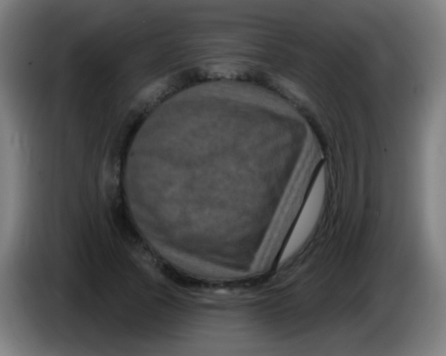 X0000085320737200703302044