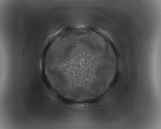 X0000085320740200703302044