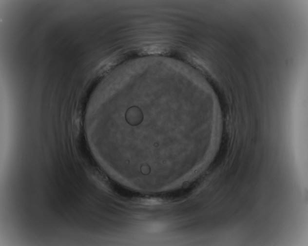 X0000085320741200703302044