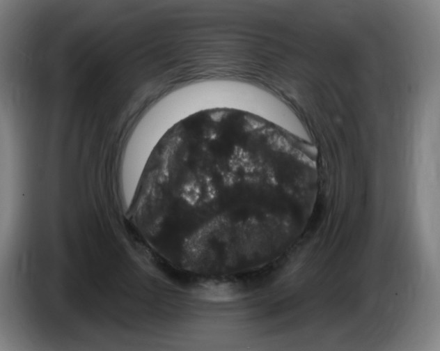 X0000085320742200703302044