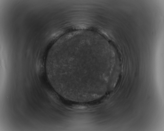 X0000085320743200703302044