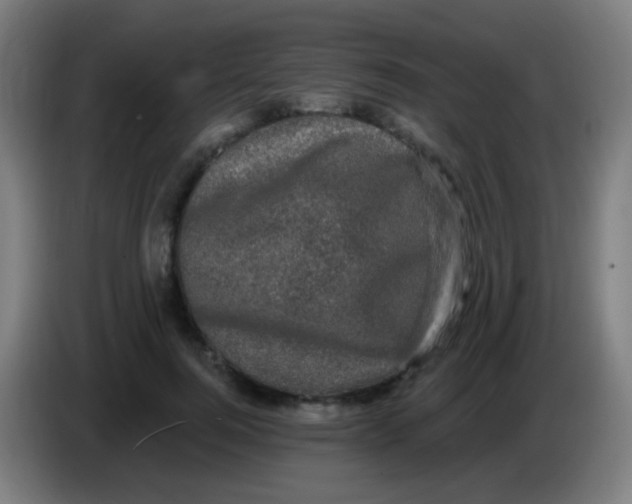 X0000085320744200703302044