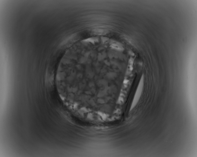 X0000085320745200703302044