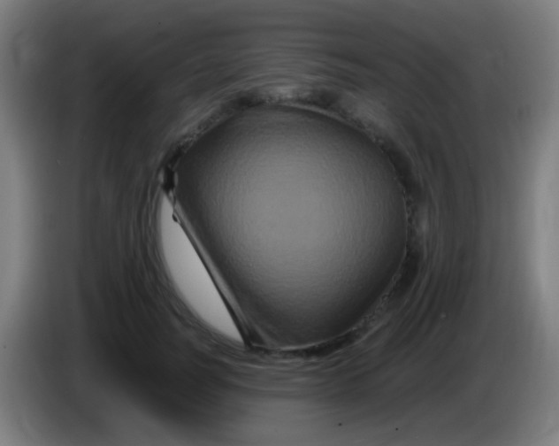 X0000085320746200703302044