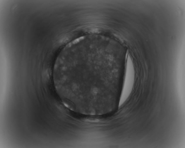 X0000085320747200703302044