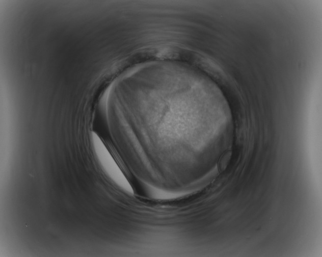 X0000085320748200703302044