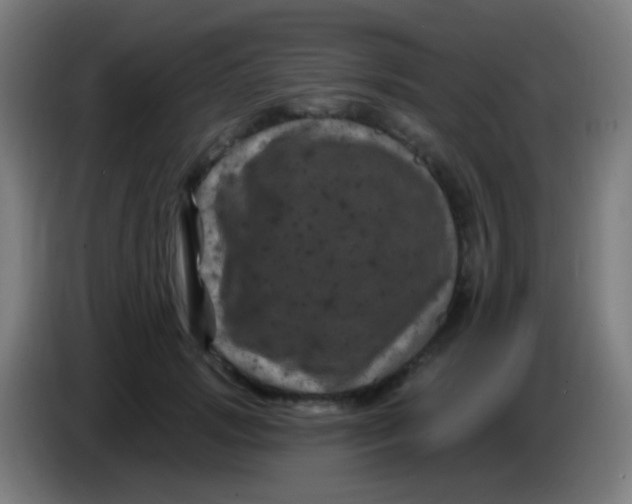 X0000085320749200703302044