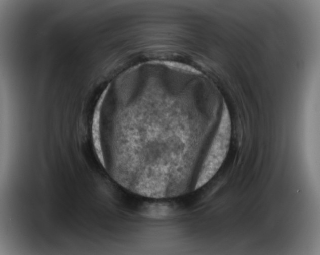 X0000085320751200703302044