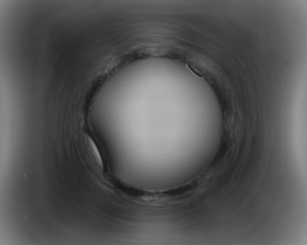 X0000085320752200703302044