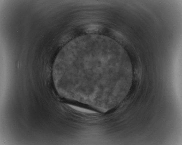 X0000085320753200703302044