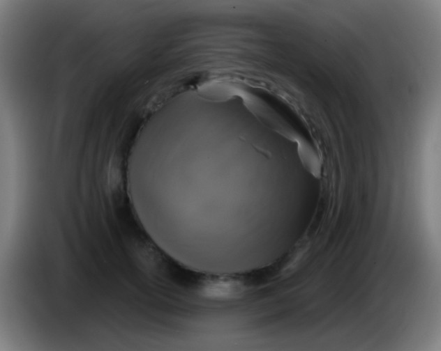 X0000085320754200703302044