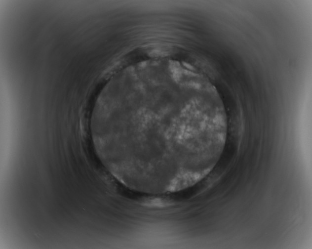 X0000085320755200703302044