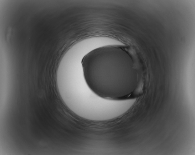 X0000085320756200703302044