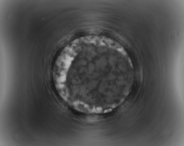 X0000085320757200703302044