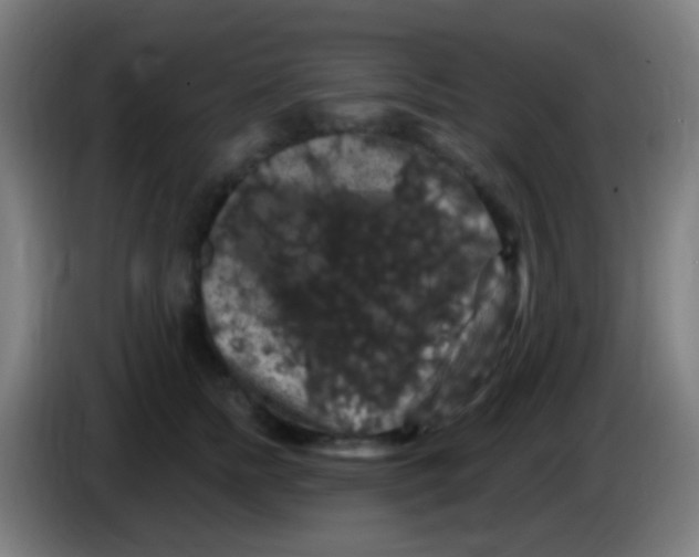 X0000085320758200703302044