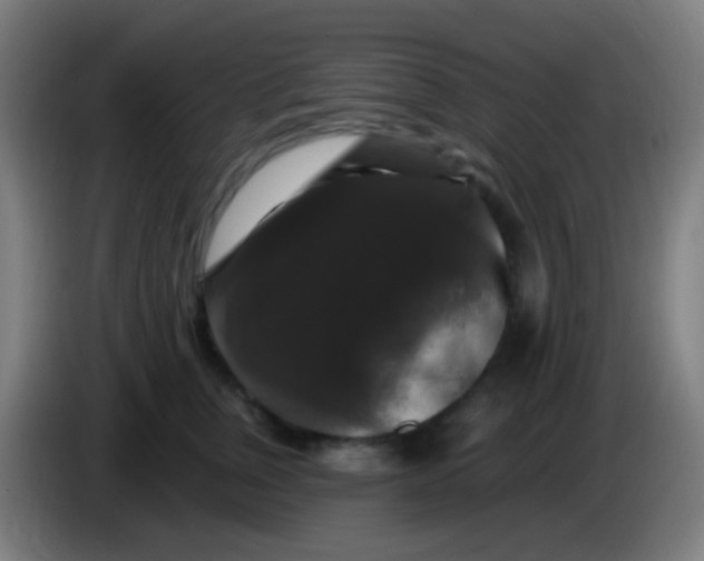 X0000085320759200703302044