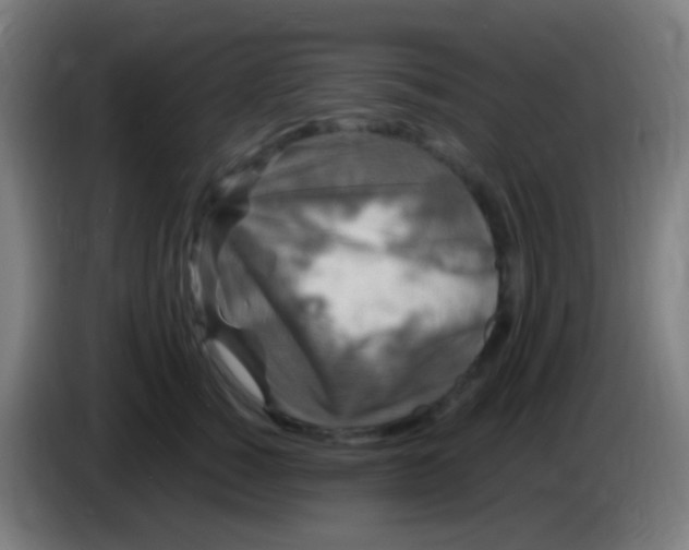 X0000085320760200703302044