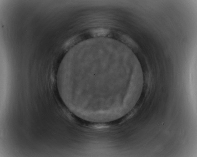 X0000085320761200703302044