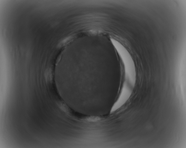 X0000085320762200703302044