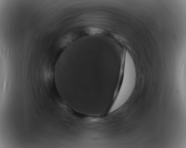 X0000085320763200703302044