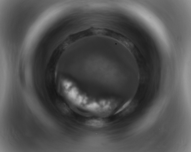 X0000085320765200703302044