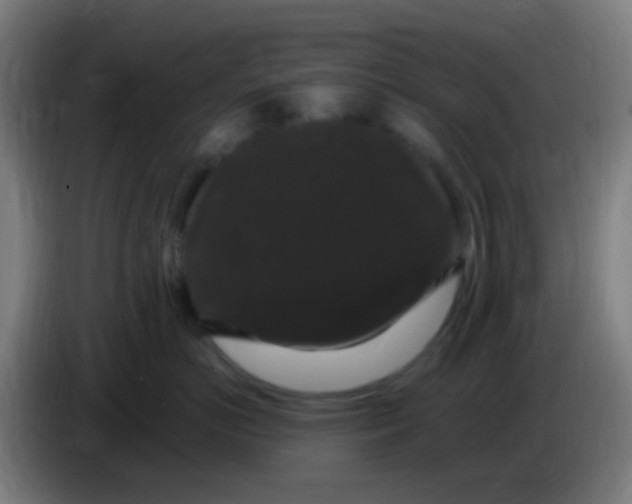 X0000085320766200703302044