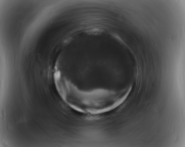 X0000085320767200703302044