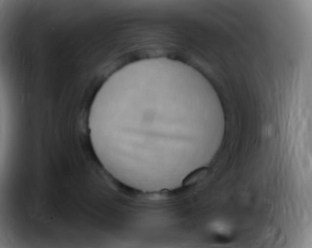 X0000085320768200703302044