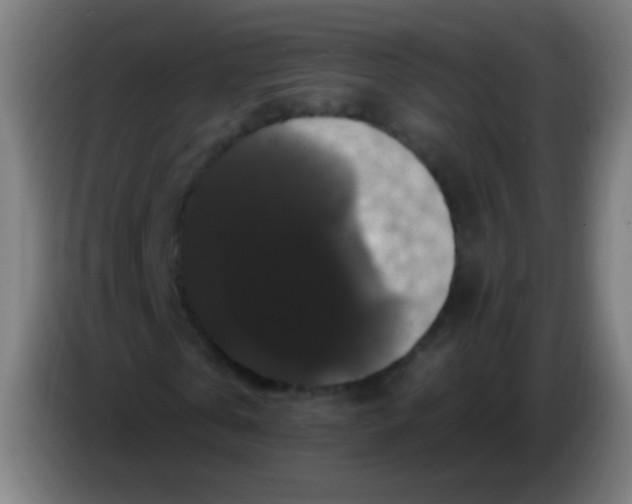 X0000085320769200703302044