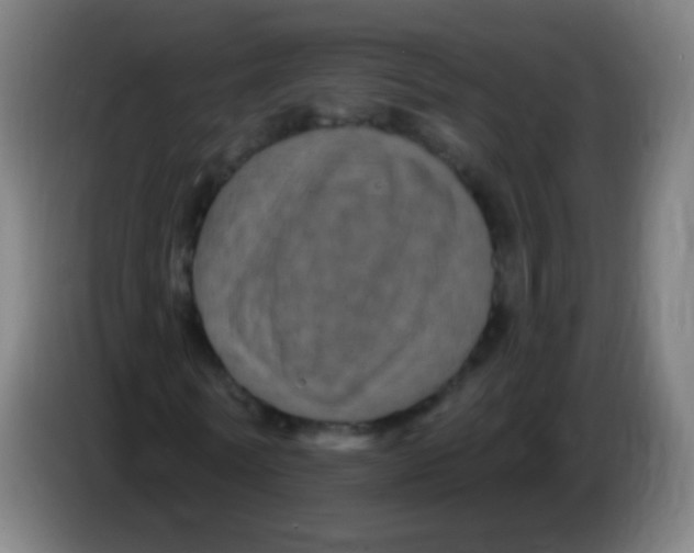 X0000085320770200703302044