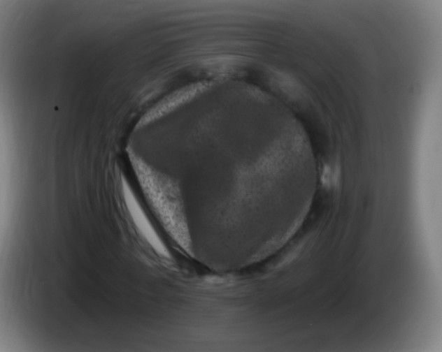 X0000085320771200703302044