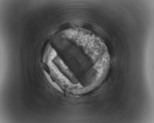 X0000085320772200703302044