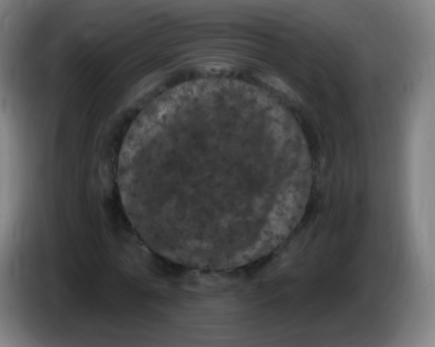 X0000085320774200703302044